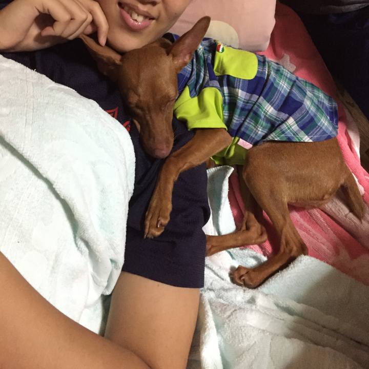 66c25cad c0a5 435d 8536 1c92be6eccc4