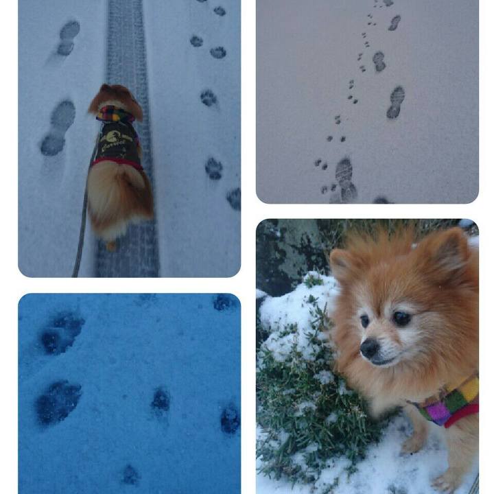 66c285d3 5873 4c54 9065 7214c62f2b00