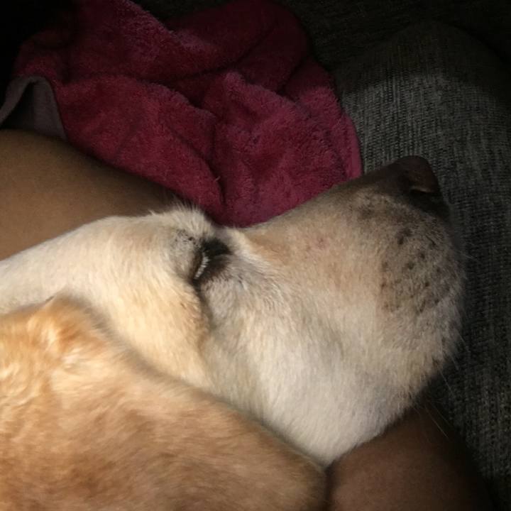 66c32cc6 ff01 479a 9fbd 0b02860bea76