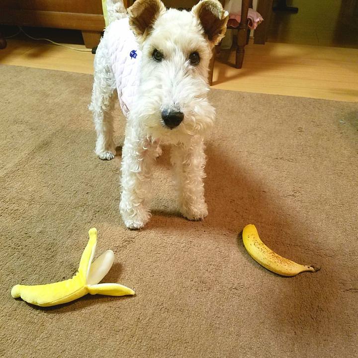 66c3f203 5303 4826 834a 709efcc46d72