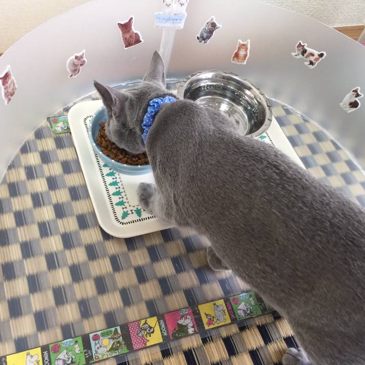 66c46240 9fc4 4799 bf8b 43fddaad8b01