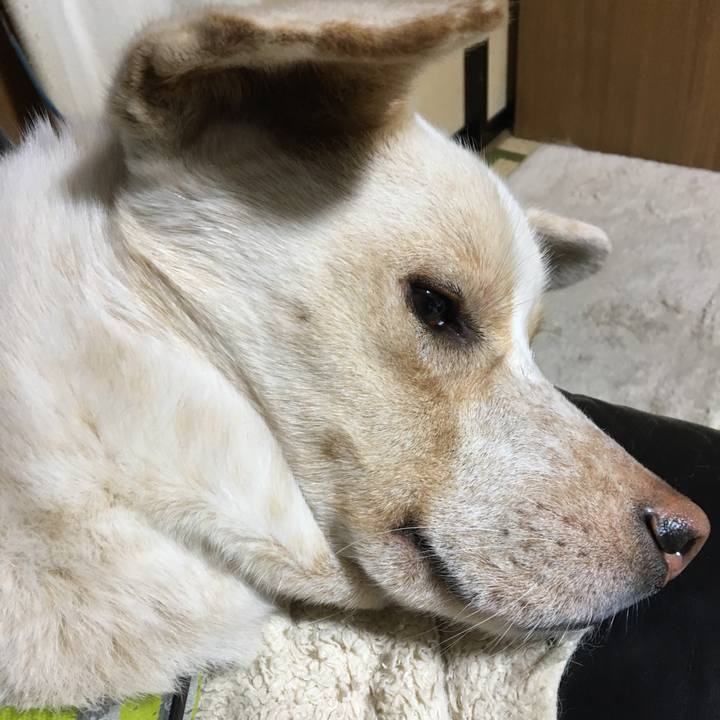 66c4cc58 6ed5 478b b826 8ed9ed64ad1b