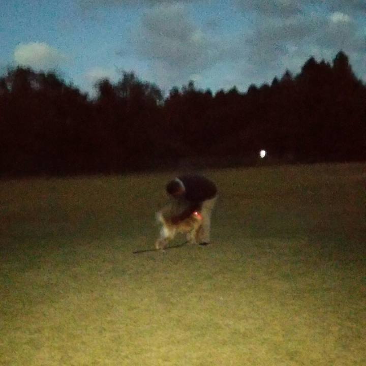 66c4dd09 4470 41ae 92f6 91b8ce587802