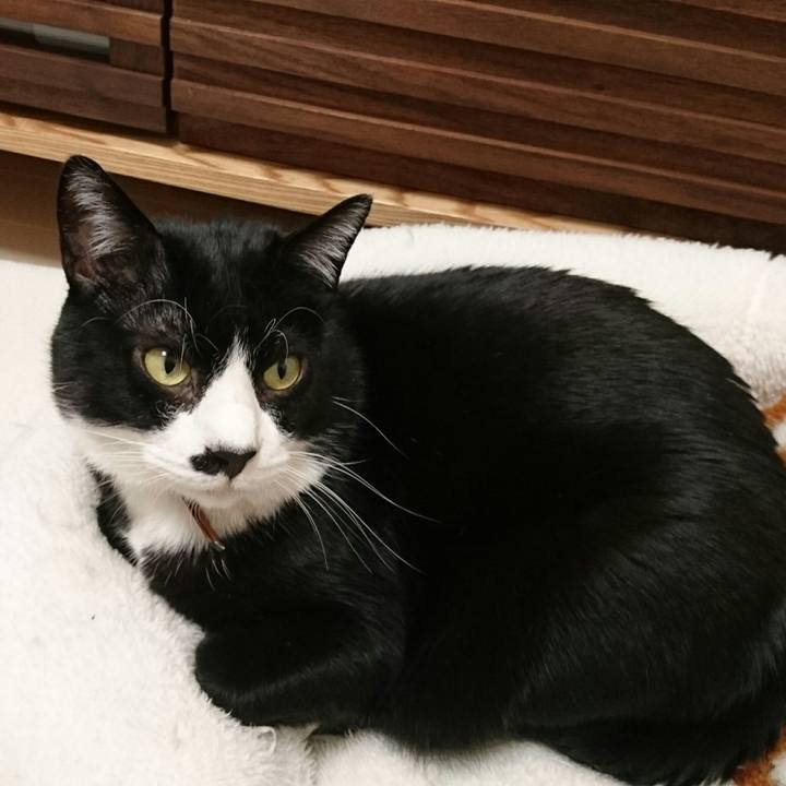 66c5ab21 3c1a 4f85 b95c 9c49204c609c