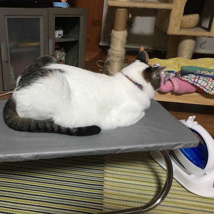 66c5b4a8 ca43 49c7 94d3 cfc2e76e7f72