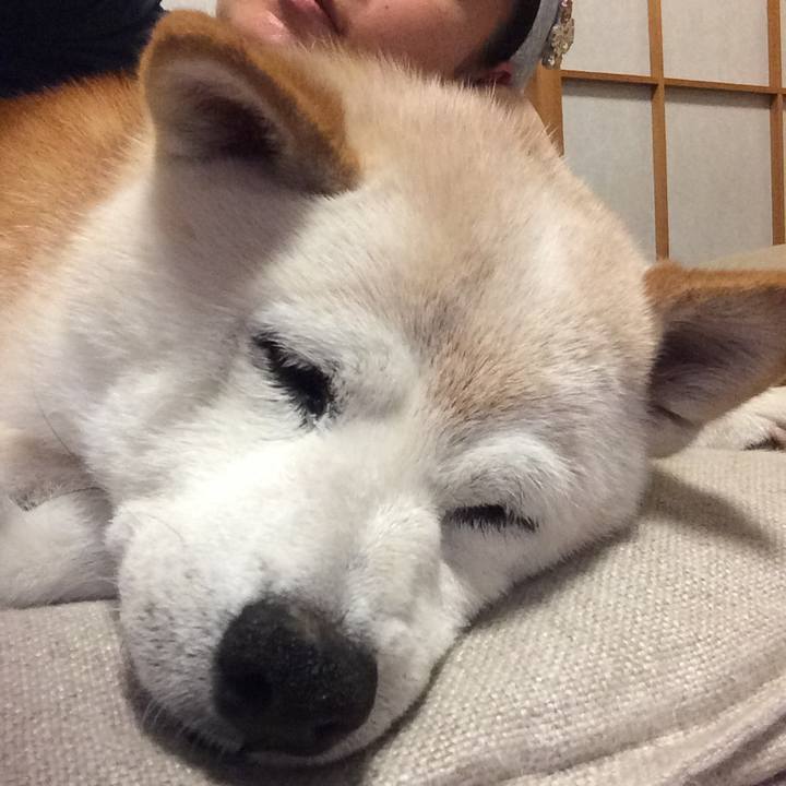 66c64743 4b78 44e1 bef6 b97f0a2ef1b2