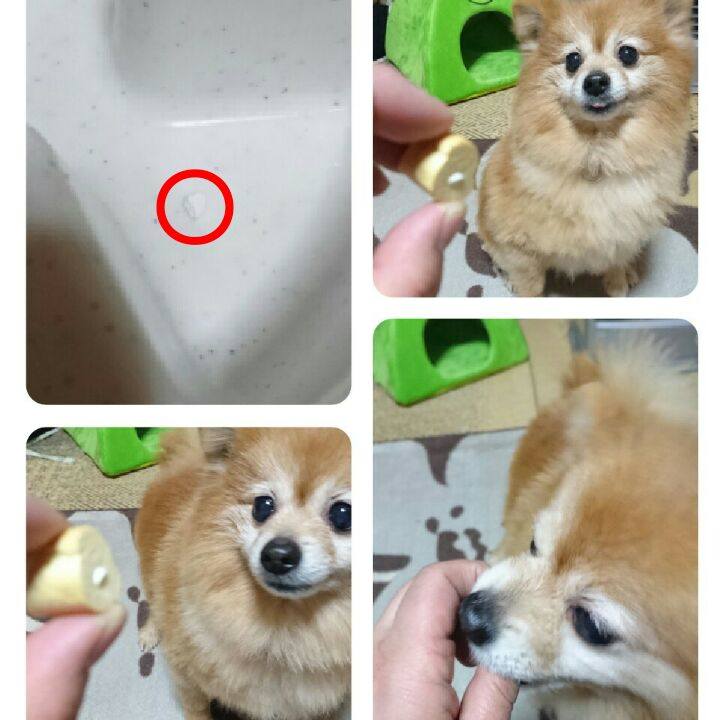 66c6acae 198a 448c 952d 260f6f4e40e5