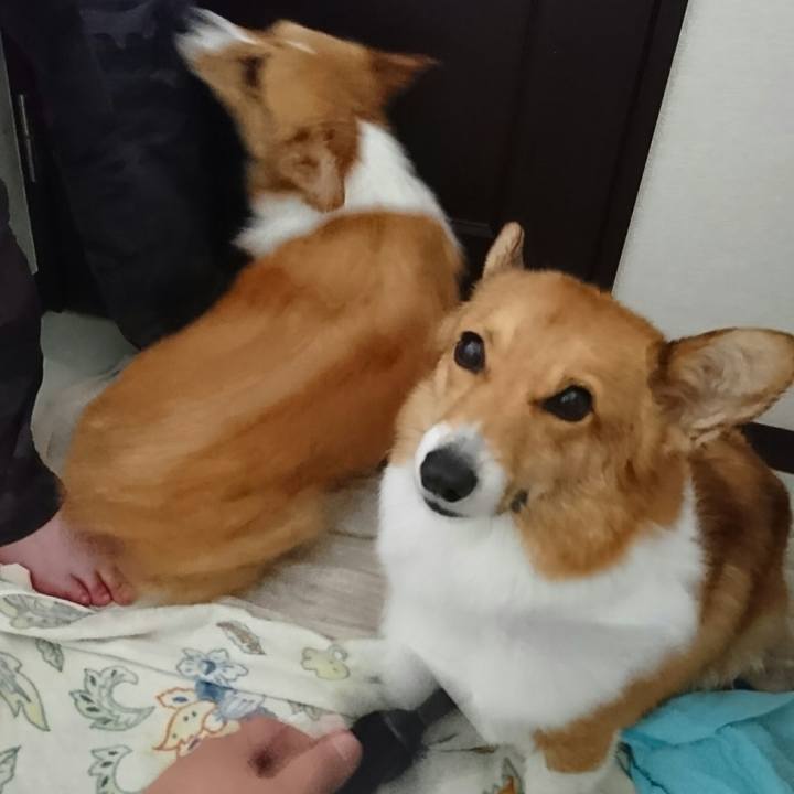 66c6ebf7 34d3 496d a248 2dd9704c24a1