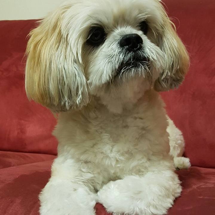 66c7048c faea 49a2 989d e55d1aca946f