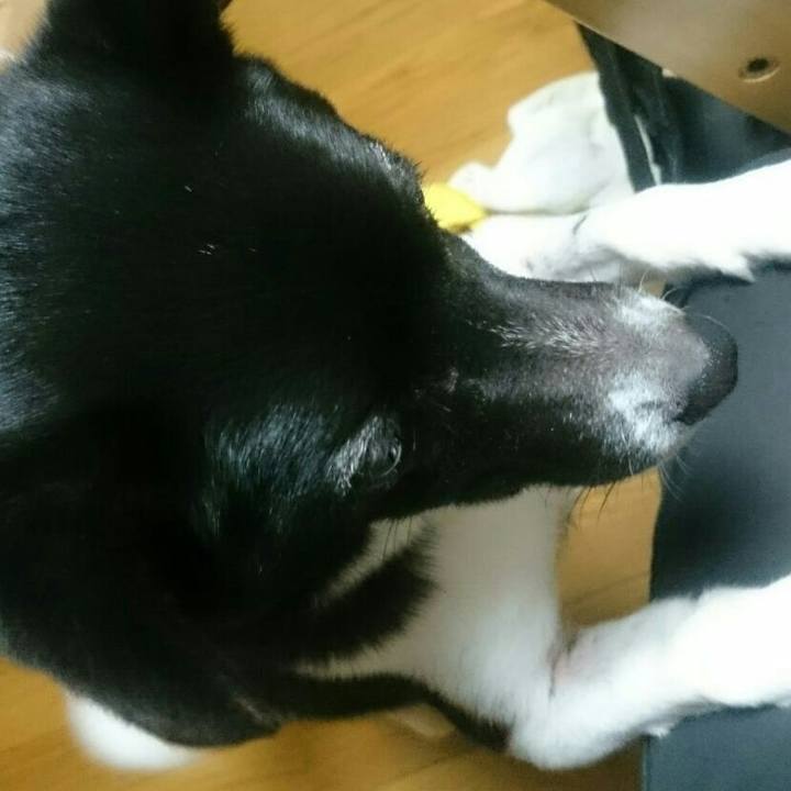 66c7af48 a47d 400b b277 2b222089dc37