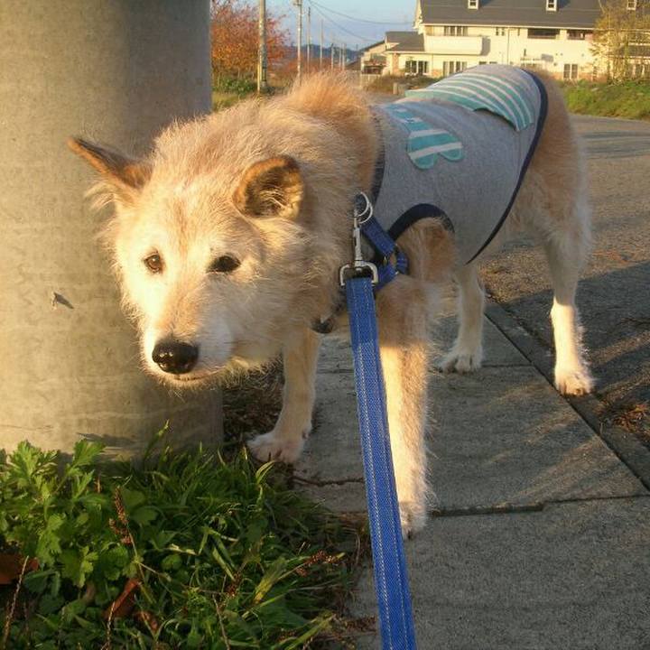 66c839b1 84ac 4cf9 b5d0 42e7b5eae481