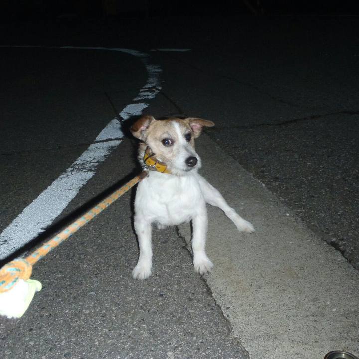 66c9067a 0154 41d8 8484 0c751be19fcc