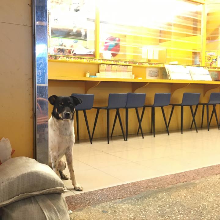 66c91242 48ef 44ec b6df 1994e9e0b401