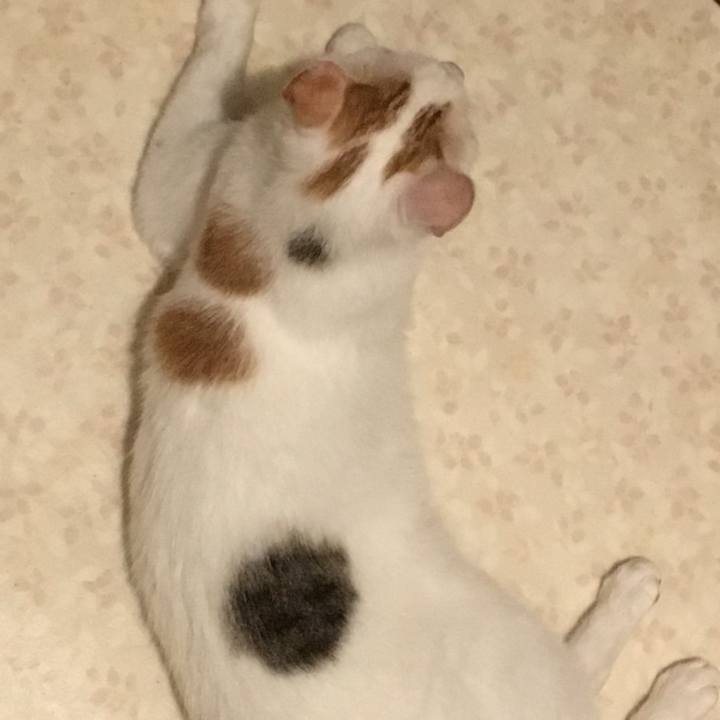 66c9539f af45 4bba ac7e b2b40d1e1572