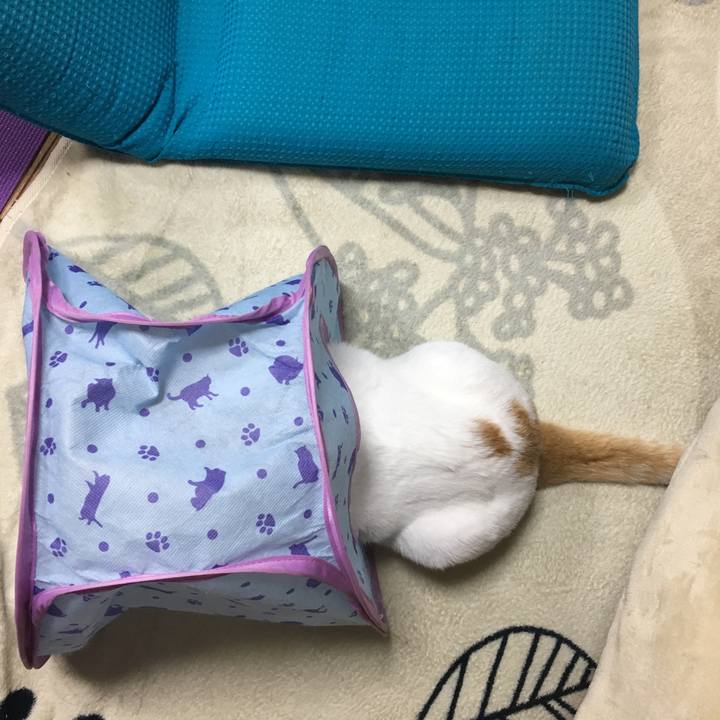 66c99e11 b802 4a7f 8a26 fa9b211298be