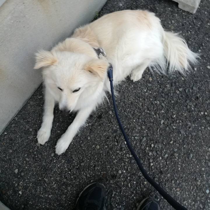 66c9b460 3352 41c1 993e d243471a63fa