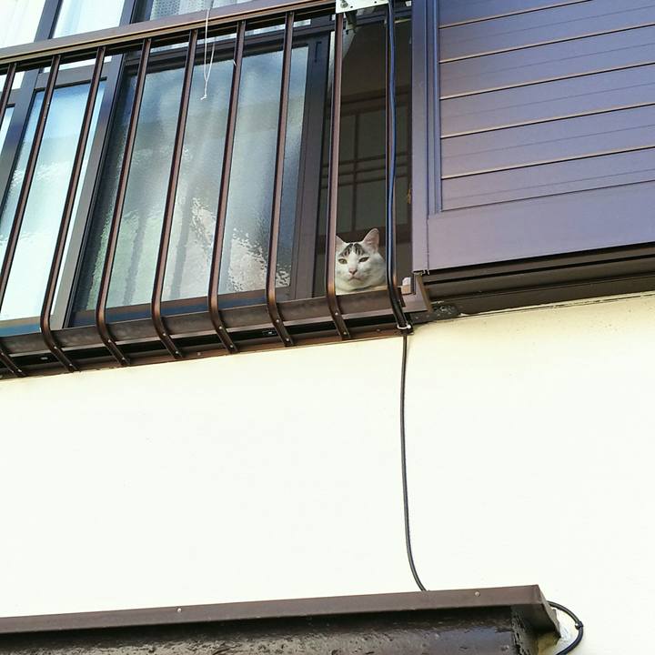 66ca33c3 6b5b 46a0 8baf ce38e57600b9