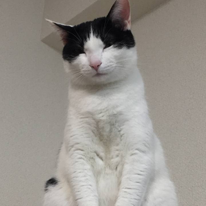 66ca8686 50ec 437e 8183 a660240ca6e3