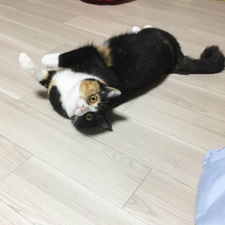 66ca930e adbb 4466 8566 866111df8987