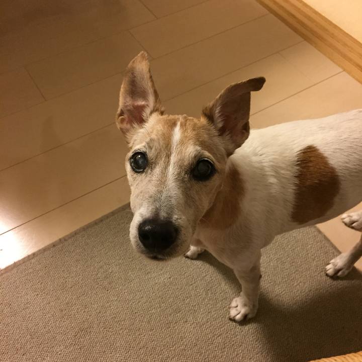 66cb0240 3ffd 424b b40e 9c0b80928212