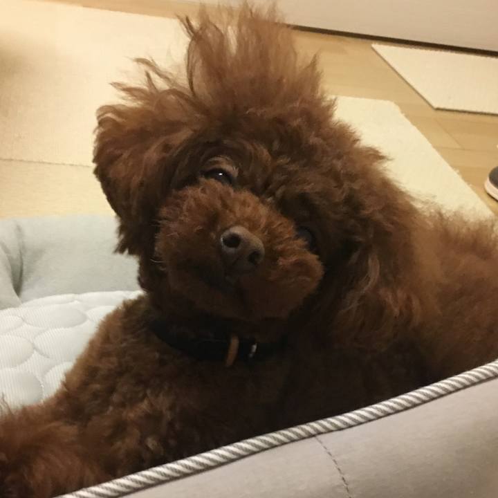 66cb5a0c 7d09 45ac ba63 abc57d0381d9