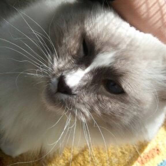 66cbb8f2 ab01 4f49 9a65 ec8a1e63407d