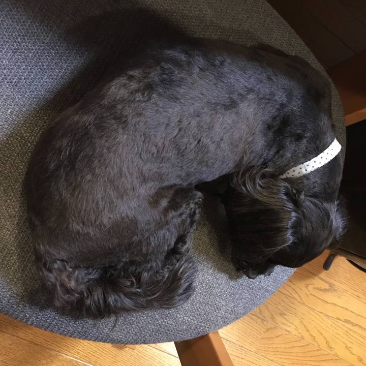 66cbcd85 1024 410a b57f 93bf8eb5fb22