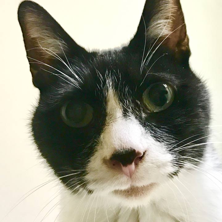 66cbe356 8cd0 4370 a6f0 97adde85e13a