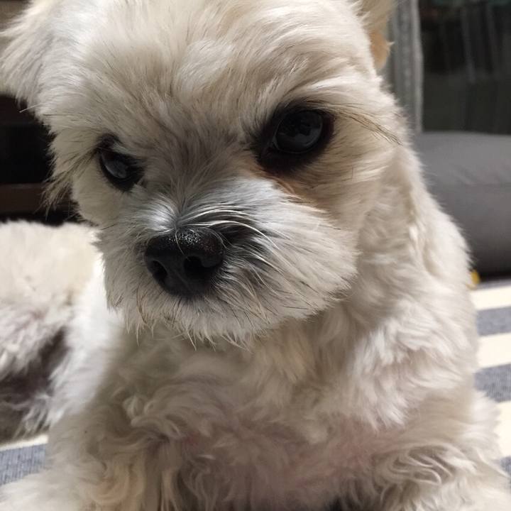 66cc5926 9433 43f3 bb75 7d4571574150