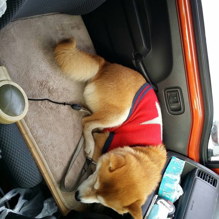 66ccf73e 9fd3 4aeb 80d6 caf7728b346f