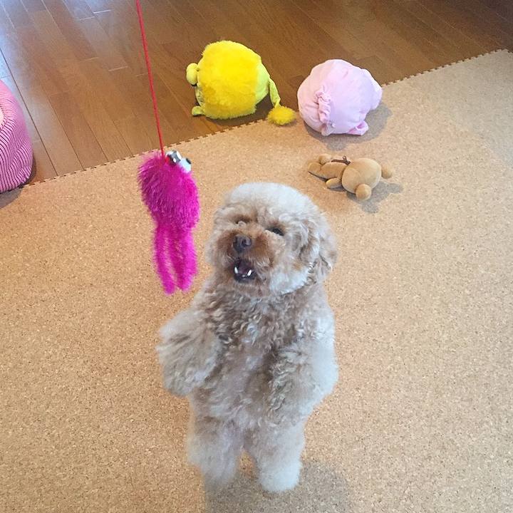 66cd1bf9 a5a7 4420 b7c2 02620c206b60