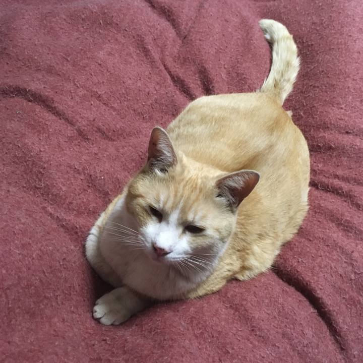 66cdd5f8 1a09 4c88 a16d d7fc00b54283