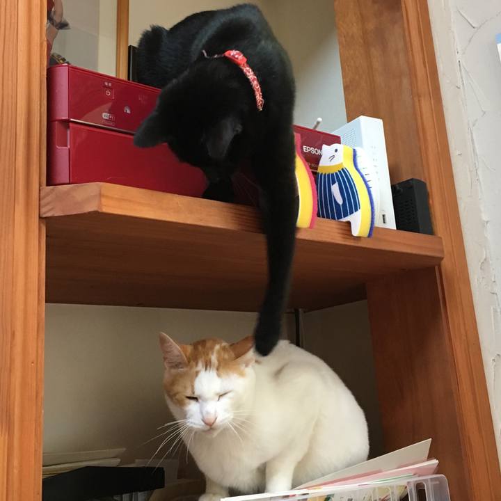 66cdfcbc 72d4 4945 9872 0377d17f7614