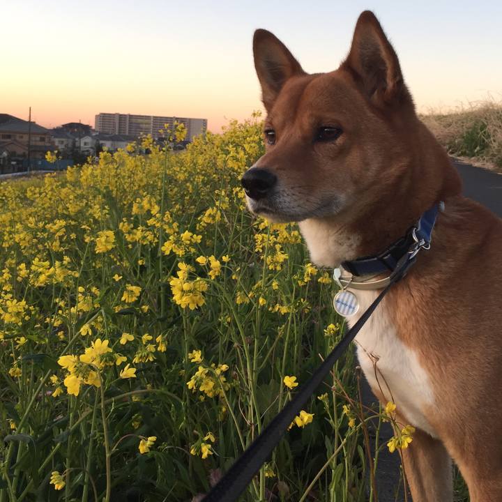 66ce2ffe 5606 4ac2 8717 4a5fa70249ed