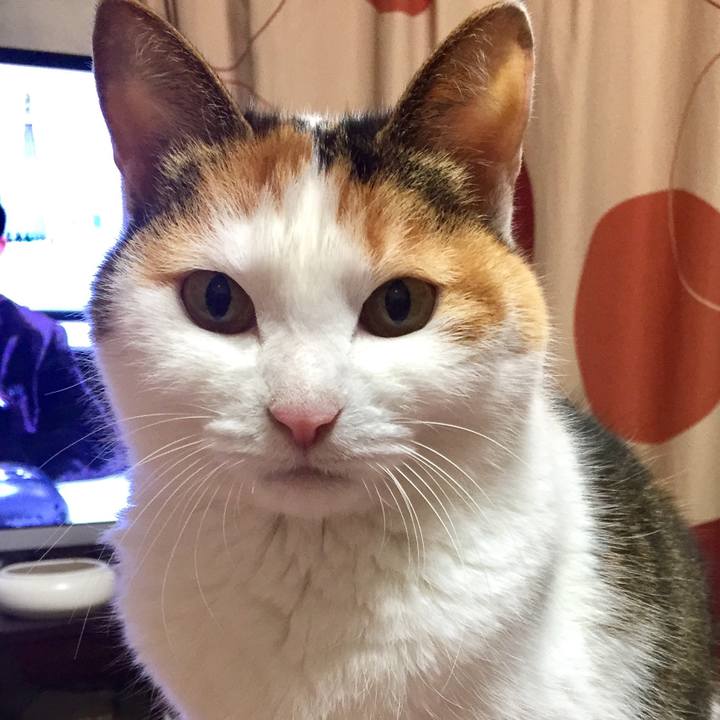 66cecca2 30e2 4995 8548 a8584e4cc5c2