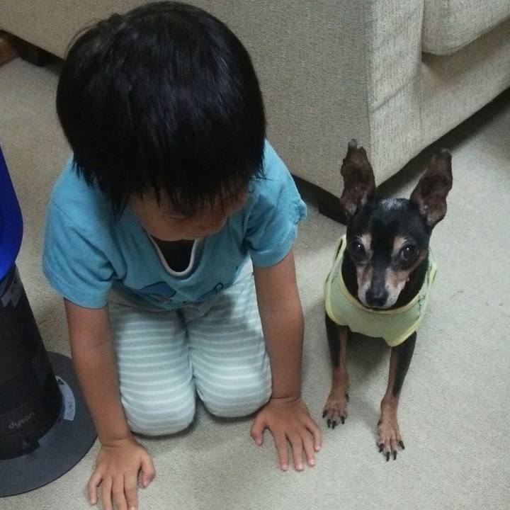 66cf3275 431b 4ead 883e f8b40077f626