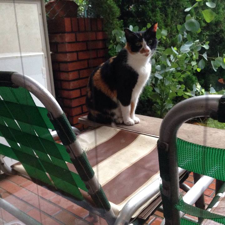 66cf62f3 1dc1 4d81 9973 9d671d97af39