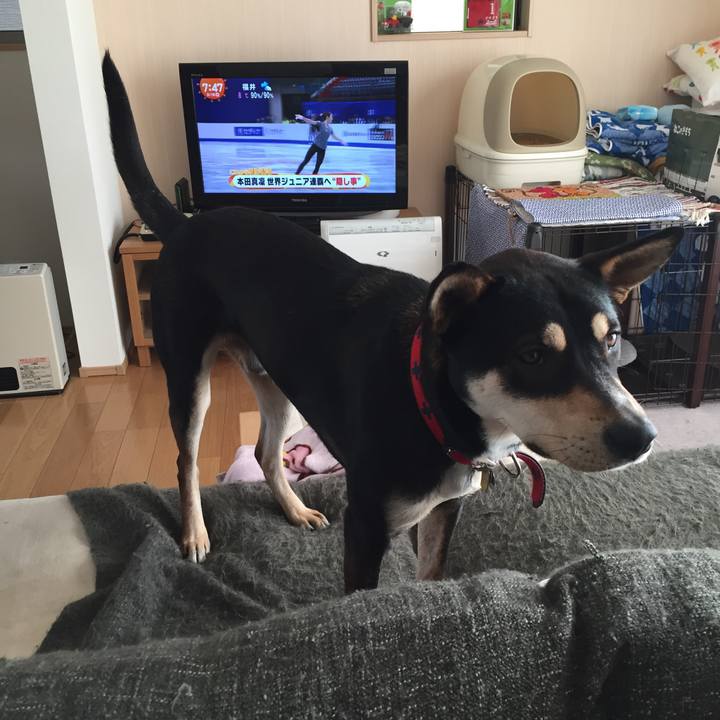 66d05442 b477 4efd 88cc e46cf300ebbc