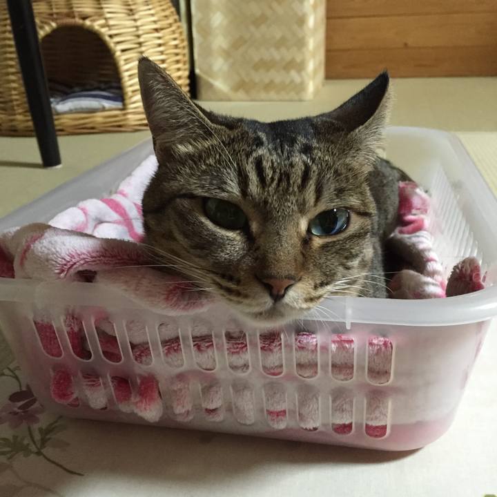 66d073c5 b6ce 4146 8245 f6a40b239322