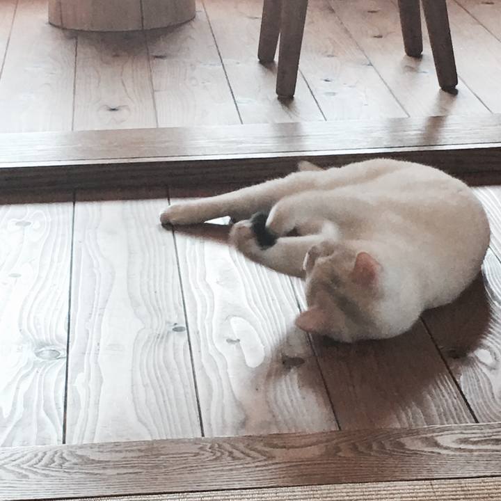 66d07c4d 47c2 4d03 a021 885b8eabb021