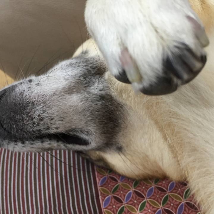 66d0c397 0468 4661 b439 b759764f9f05