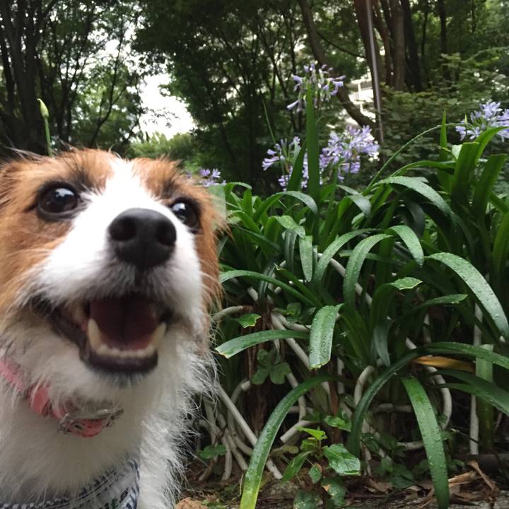 66d0c5b7 27bd 42a5 a2c9 4638c83e5c4e