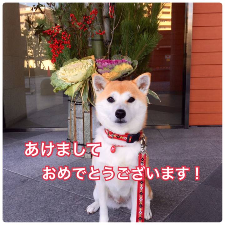 66d1bca9 68a5 4475 bbbb 411541a3a37f