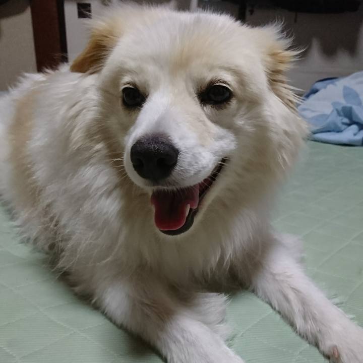 66d34cb4 0f4e 438c a4bb 5e533b6cf47d