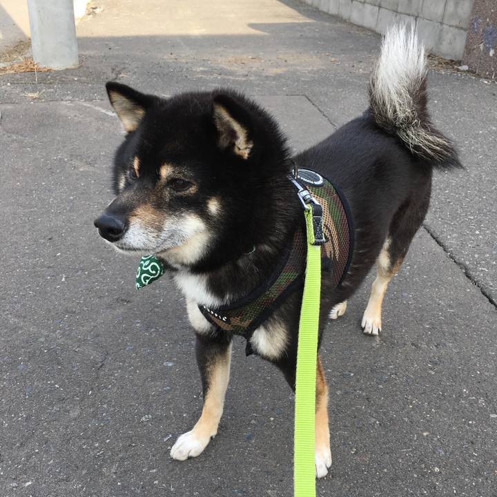 66d40f57 f2e4 44ff b5de 12d2a8587152