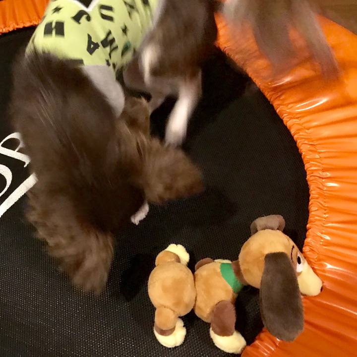 66d44dbb 262f 4051 bc72 baaf97edff60