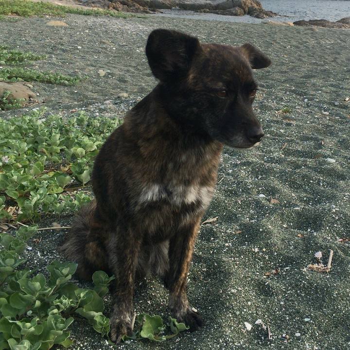 66d4996b 4207 46b3 828e 74a000069f10