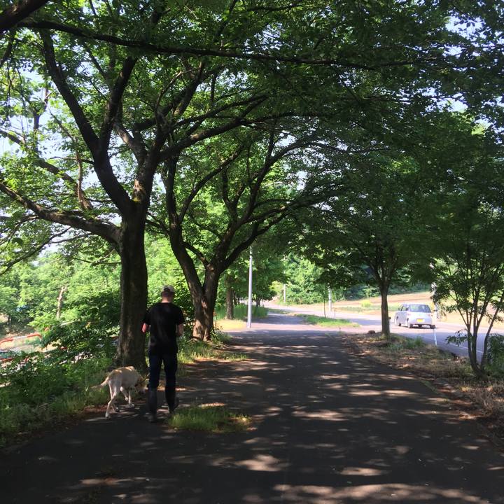 66d519e0 0d02 4be4 ab6e 8327d616d2ef