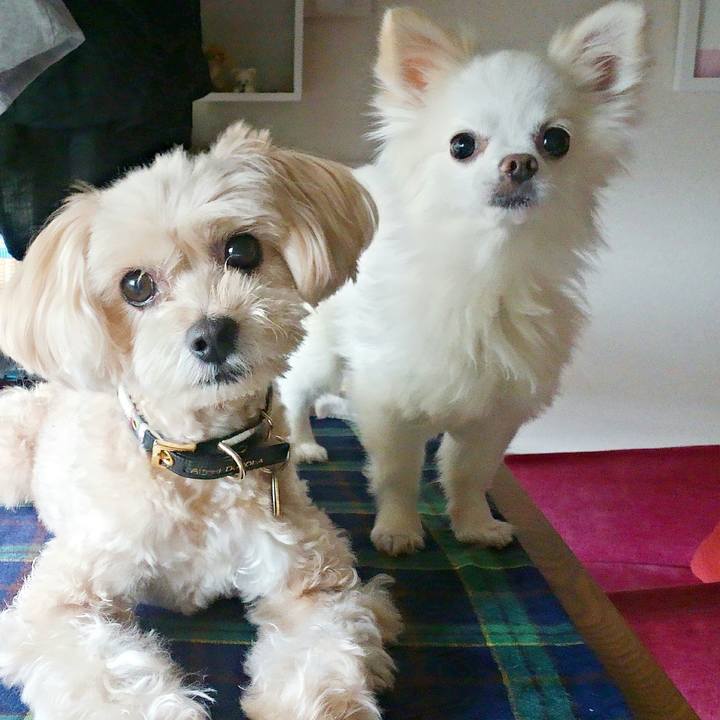 66d53a62 301d 41a3 ad15 3a854091cbf9