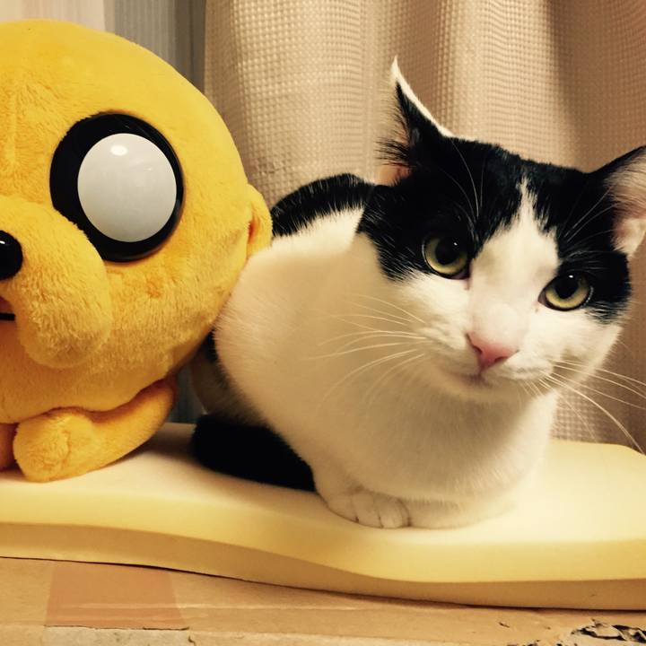 66d578b4 bb78 4831 992e f79bbdc23b45